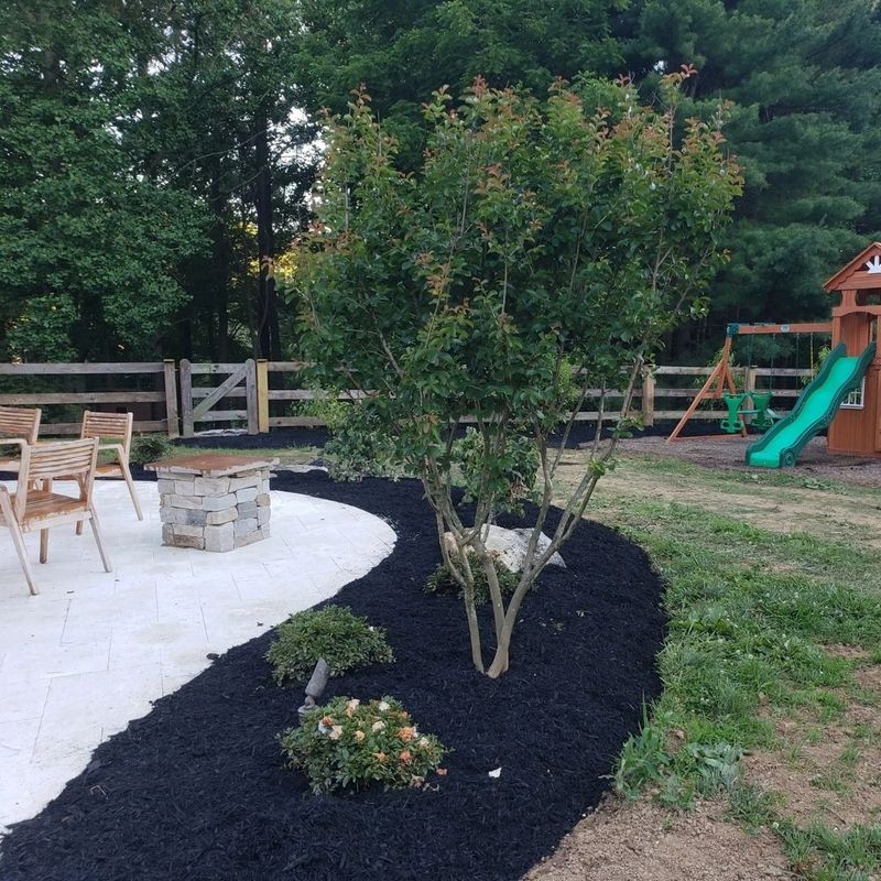 a backyard garden bed